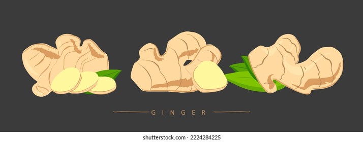 ginger beautiful cute freehand drawing