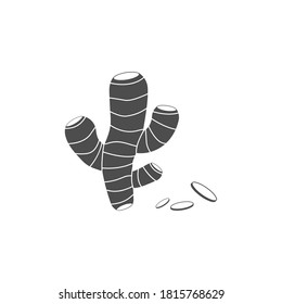 Ginger black root vector illustration isolated on white. 