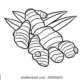 ginger / cartoon vector and illustration, black and white, hand drawn, sketch style, isolated on white background.