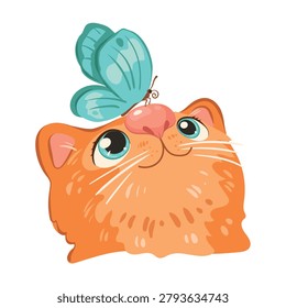 Ginger cat and blue