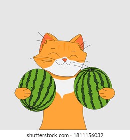 Ginger cat carries two large ripe green watermelons under his arm, contented face
