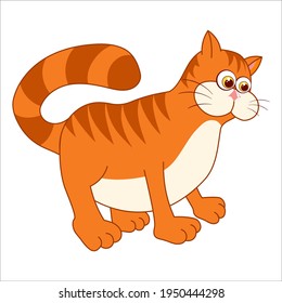 Ginger cat. Cartoon character Kitten isolated on white background. Template of cute farm animal. Education card for kids learning animals. Suitable for decoration and design. Vector in cartoon style.
