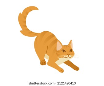 Ginger cat cartoon lying on the ground cartoon animal design vector illustration isolated on white background