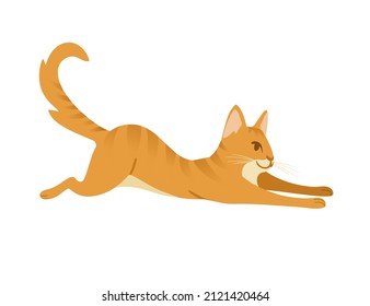 Ginger cat cartoon lying on the ground cartoon animal design vector illustration isolated on white background