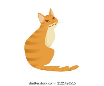 Ginger cat cartoon sitting on the ground cartoon animal design vector illustration isolated on white background