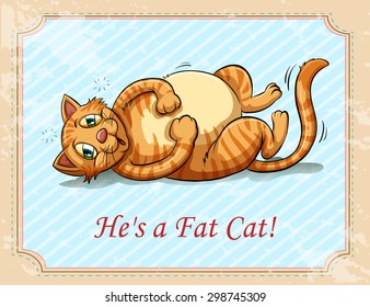 Ginger cat is a fat cat