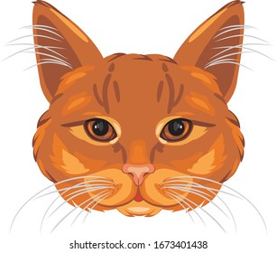 Ginger cat head isolated on white. Vector