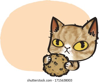 the ginger cat with his precious cookies