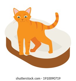 Ginger cat in his soft cozy bed cushion isolated on white background. Isometric view. Vector