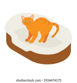 Ginger cat in his soft cozy bed cushion isolated on white background. Isometric view. Vector