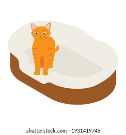Ginger cat in his soft cozy bed cushion isolated on white background. Isometric view. Vector