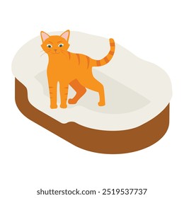 Ginger cat in his soft cozy bed cushion isolated on white background. Isometric view. Vector