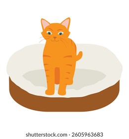 Ginger cat in his soft cozy bed cushion isolated on white background. Vector