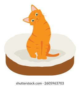 Ginger cat in his soft cozy bed cushion isolated on white background. Vector