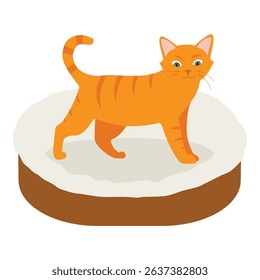 Ginger cat in his soft cozy bed cushion isolated on white background. Vector