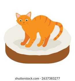 Ginger cat in his soft cozy bed cushion isolated on white background. Vector