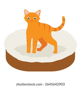 Gato gengibre em sua macia acolhedora almofada cama isolado no fundo branco. Vetor