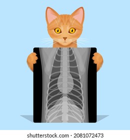 Ginger cat is holding in paws X-ray image of chest. Concept of veterinary diagnostic using radiography, pet treatment