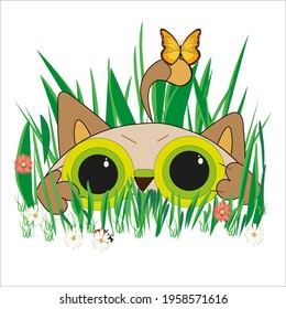 ginger cat hunts in green grass