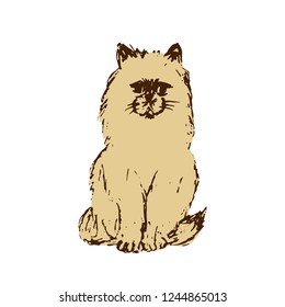Ginger cat isolated on white background. Sitting pet. Hand drawn sketch. Vector illustration.