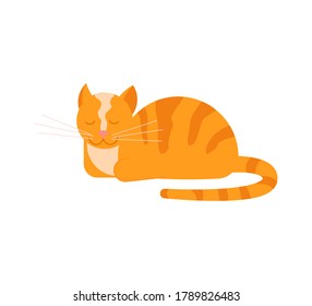 The ginger cat lies with its paws tucked and purrs. Square card with funny kitten in flat design. Happy cats day. Flat Art Vector Illustration