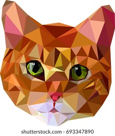 ginger cat in low poly style