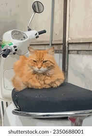 ginger cat lying on a chair of a scooter.ginger cat on a scooter waiting for the owner. 