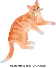 Ginger cat lying, vector