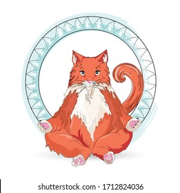 Ginger cat meditating in lotus yoga pose with blue ring around
