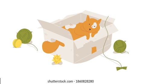 Ginger cat in a paper box with toys and balls of thread isolated on white. Cartoon hand drawn style