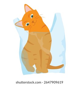 Ginger cat play with plastic shopping bag. Cat hiding in transparent plastic bag. Kitten misbehaving and playing around, crazy funny fluffy kitten. Isolated on white background. Vector