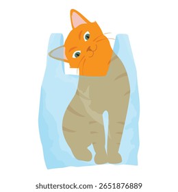 Ginger cat play with plastic shopping bag. Cat hiding in transparent plastic bag. Kitten misbehaving and playing around, crazy funny fluffy kitten. Isolated on white background. Vector