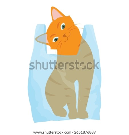 Ginger cat play with plastic shopping bag. Cat hiding in transparent plastic bag. Kitten misbehaving and playing around, crazy funny fluffy kitten. Isolated on white background. Vector