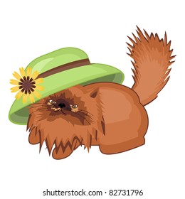 ginger cat playing with hat