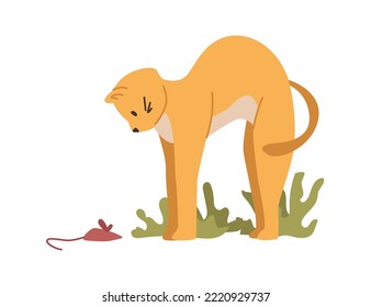 Ginger cat playing with toy, isolated kitten life and habits, every day routine. Feline animal with red fur, pet with mouselike plaything. Vector in flat style