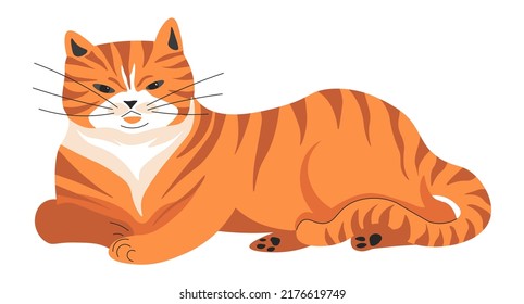 Ginger cat portrait, isolated kitty sitting or napping. Feline animal with whiskers and fur. Orange coat and cozy pose of domestic pet. Mammal companion or friend. Vector in flat style illustration