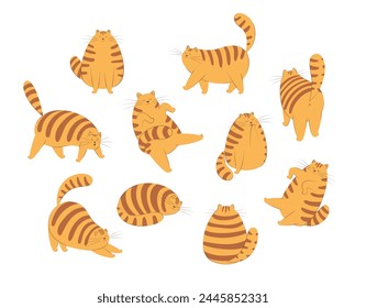 Ginger cat poses set. Cute striped with various emotions. Cat behavior, body language and face expressions. Set of vector illustrations