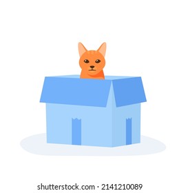 Ginger cat sits in box. Cute indoor pet plays in paper case. Hiding and resting place for fluffy fiend. Flat style vector