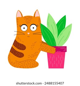 A ginger cat sits and holds a flowerpot with a flower in its paws, isolated vector illustration