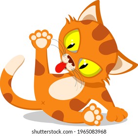 Ginger cat sits and licks on a white background, home pet