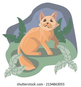 Ginger cat sits on the ground among the bushes against the background of the sky.The image can be used as an illustration for children's books, clothing,print,pet shops, goods, veterinary clinics