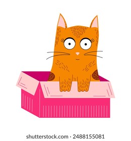 Ginger cat sitting in a pink box, isolated vector illustration