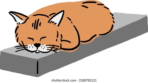 Ginger Cat sleep Animal in action Hand drawn color illustration