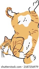 Ginger cat Sleep belly up funny pose Animal Colour illustration