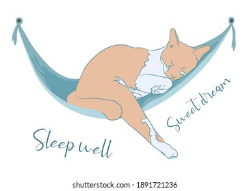Ginger cat sleep happily on green hammock with text, sleep well and sweet dream, isolated on white background. vector illustration.