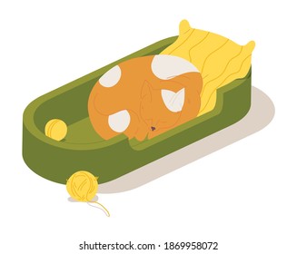 Ginger cat sleeping in bed. Cartoon kitten character with closed eyes. Vector illustration 