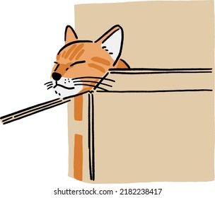 Ginger Cat sleeping in paper box Stray cat Animal in action Hand drawn color illustration