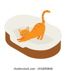Ginger cat sleeps in his soft cozy bed cushion isolated on white background. Isometric view. Vector
