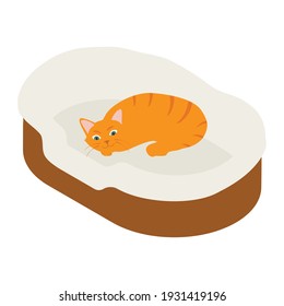 Ginger cat sleeps in his soft cozy bed cushion isolated on white background. Isometric view. Vector