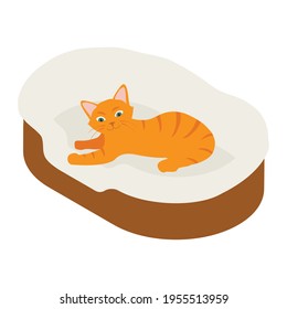 Ginger cat sleeps in his soft cozy bed cushion isolated on white background. Isometric view. Vector